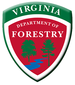 Department of Forestry Logo